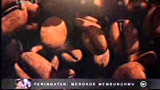 Download lagu RCTI Dajrum Black Cappuccino 23 43