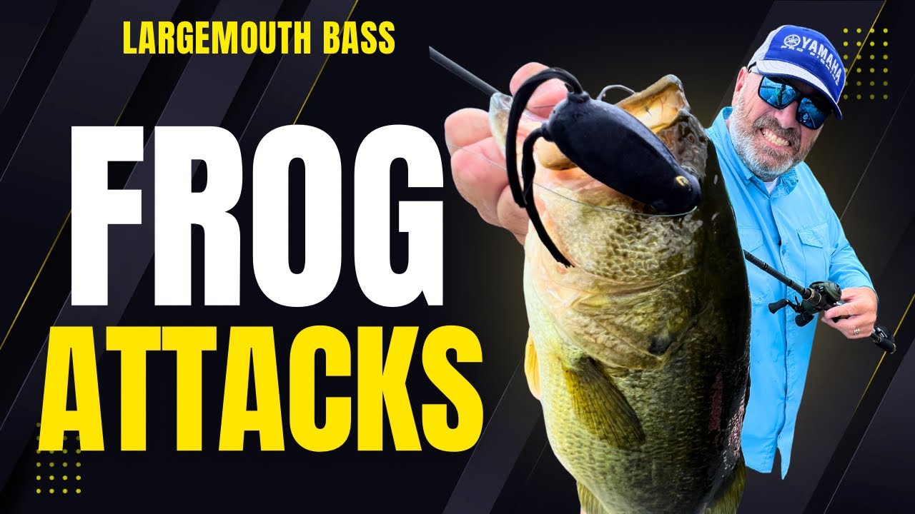 Когда крупные окуни атакуют лягушек на мелководье — факты о рыбалке от Дейва Мерсера, шоу, эпизод...