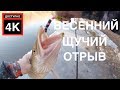 Ловля щуки ранней весной !!Щука на джиг с дальним забросом! Весенний спиннинг 2019 !