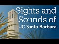 Sights and sounds of uc santa barbara
