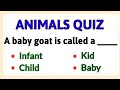 Animals quiz | Animals and their babies | gk quiz | General knowledge questions | All about animals