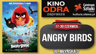 kino odra angry birds