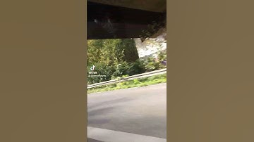 سورة الإخلاص ب صوت خاشع@شاي مهيل