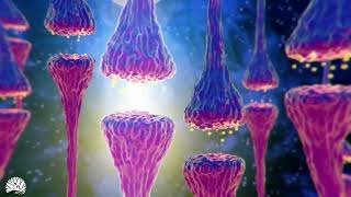 528hz, Miracle Tone , Dna Repair & Healing, Nerve And Cell Regeneration, Complete Body Healing screenshot 5