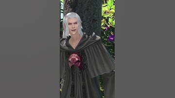 It just antagonizes her.... #ff14 #ff14memes #emetselch #azem #ffxiv #chowder #finalfantasyxiv #ff