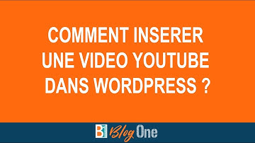 [Tuto] COMMENT INSERER, INTEGRER, AFFICHER UNE VIDEO YOUTUBE DANS WORDPRESS ?