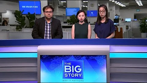 THE BIG STORY: Hong Kong election results | K-Pop idol Goo Hara found dead | Fake news law invoked - DayDayNews