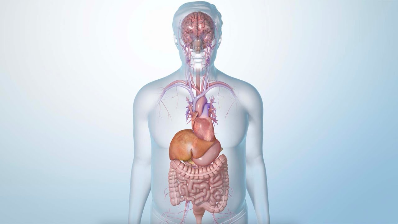 supplements that mimic semaglutide GLP-1 Drugs from the Gray Market