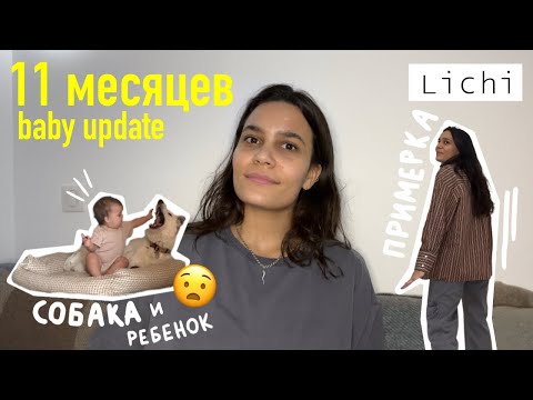 83. baby UPDATE 11 месяцев. СОБАКА и маленький ребенок. ПРИМЕРКА lichi