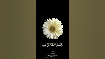 صباح الخير🌼اجمل حالات واتس اب مقاطع قصيره🌼قران سورة الإنسان إن الأبرار يشربون🌼احمد النفيس بدون حقوق
