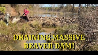 RELEASING WATER FROM BEAVER DAM! 05/2024 by culverts, bridges and ditches…oh my 14,451 views 7 days ago 23 minutes