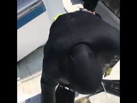 قزقز كابوريا