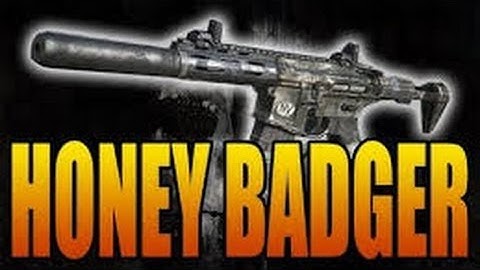 Honey Badger madness -- Cod Ghosts gameplay