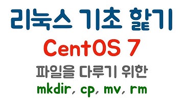 [리눅스 기초] 3. 파일을 다루는 기본 명령어(mkdir, cp, mv, rm)(타임라인 추가)