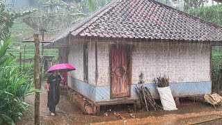 Hujan Deras Mengguyur Kampung Waas Di Pagi Hari, Ngadaweung Di Hawu. Suasana Syahdu Pedesaan Garut