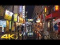 Tokyo Ueno on a rainy night 雨夜の東京上野 - 4K