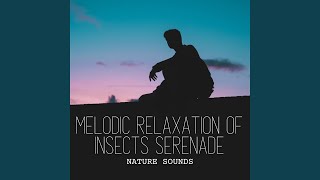 Tranquil Bug Ballad