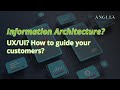 Information Architecture 101: How to Organize Your Website So Users Never Get Lost