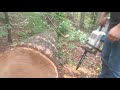 Hart 14" battery chainsaw one year later