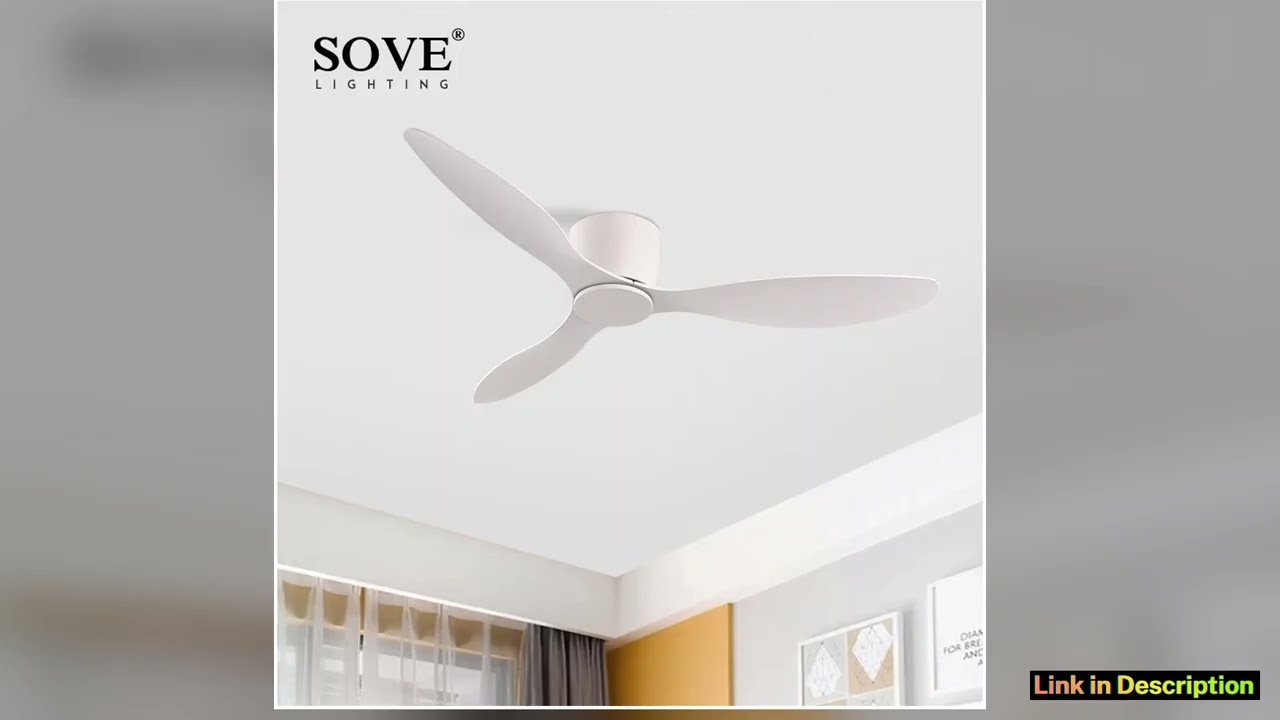 SOVE Ceiling Fans With Remote Control Modern Black White Low Floor DC Motor 30W Simple Ceiling Fan