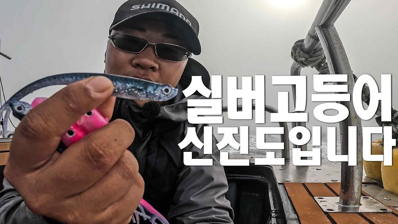 마릿수는 역시 신진도입니다. 광어다운샷 시원한 입질 받으시고 더위나세요 (광어다운샷웜,광어다운샷로드추천)