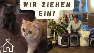 WIR ZIEHEN EIN!🏠😻| sinascolorcats