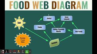 Design a Zoo Sample Project