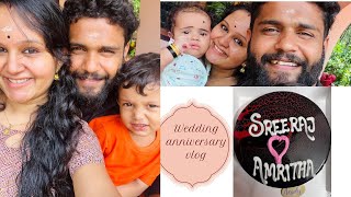 Wedding Anniversary | 4th Anniversary in 2024 | Amrutha Sunil | Sreeraj | Niyaanved | Rithved