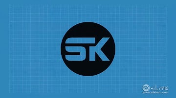 【Siki】【Shader介绍】【28】【如何使用Unity的内置函数】