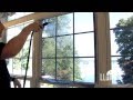 Types Of Window Film For Sunroom