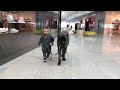 cane corso in shopping center with baby