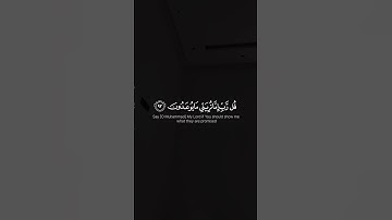القرآن الكريم #تلاوة_خاشعة #اكسبلور