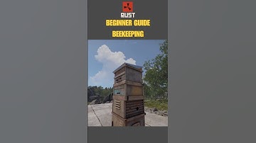 🔥🐝 Everything About Bees Beehives & Honey - Rust Beginner Guide