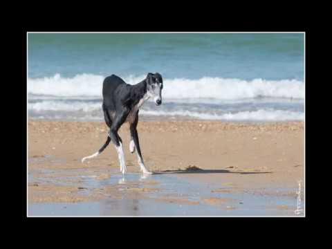 Beliana a Biarritz Arcadines