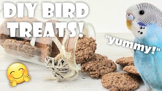 How to Get Your Bird to Eat Pellets! *easy DIY bird treats*