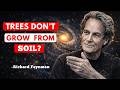 Trees DO NOT Grow From The Ground (It's not what you think) - Feynman's Explains why