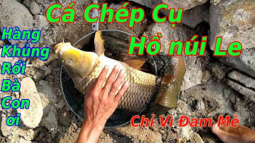 Câu Cá Chép Cụ Hồ Núi Le (Phần 5)! Cá ăn không kiệp quay video - Chỉ Vì đam mê
