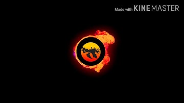 INSECTION intro tutorial