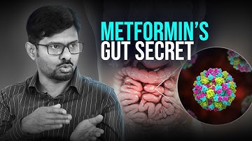 Metformin’s Surprising Effect on Your Gut Microbiome | Insights from a Diabetes Researcher
