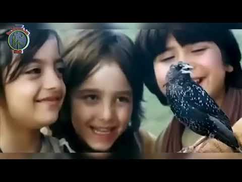 Ethiopia የነብዩላህ ሱለይማን ዐ ሰ ፊልም ክፍል 1 HD Amharic HD Movie የነብዩላህ ዩሱፍ ታሪክ የነብዩላህ ዩሱፍ ታሪክ ክፍል የነብዩላ