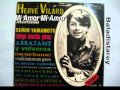 Mi Amor Mi Amor Herve Vilard.flv