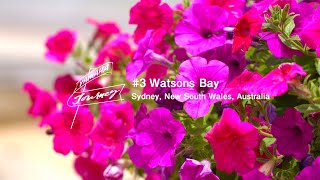 Yamaha Motor Journey – #3 Watsons Bay, Australia