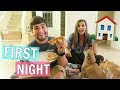 First Night in Our New Home!! + The Dogs First Time in the House!