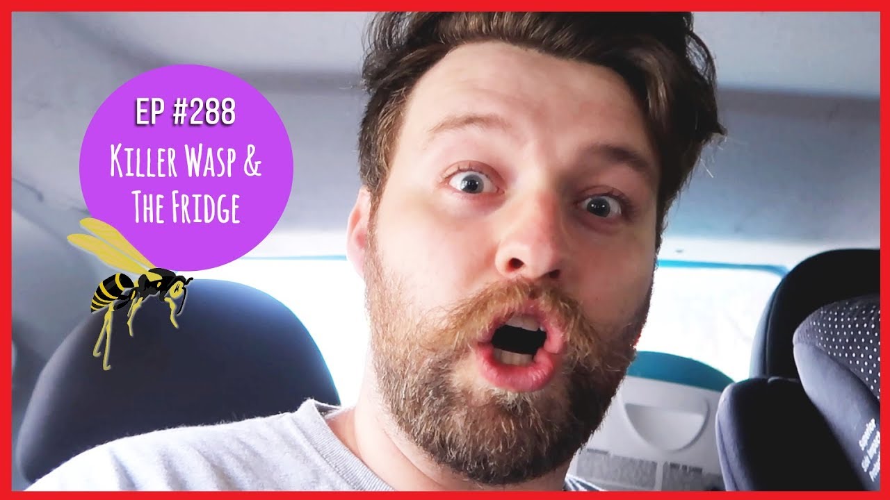 KILLER WASP & THE FRIDGE // EP #288 * AUSSIE FAMILY VLOG * vlogs in spanish