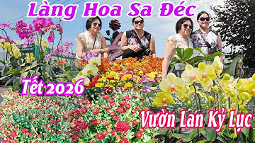 Làng hoa Sa Đéc vườn hoa Lan rộn ràng rực rở  đón Festival Lần 2 Tết 2026 hoa kiểng giá rẻ bất ngờ 