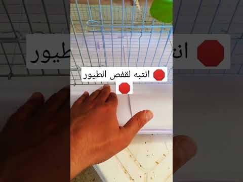 انتبه عند شراء قفص طيور جديد