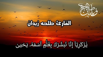صوت رائع وجميل ||سورة مريم 🎙|القارئ طلحه زيدان||the best sound  |sorah maryam |# quran#foryou viral