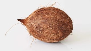 Stranded Deep | LIVE⛔