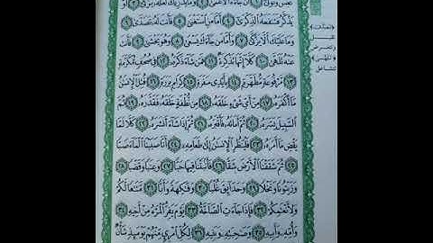 الشيخ علي عبد المحسن سورة عبس