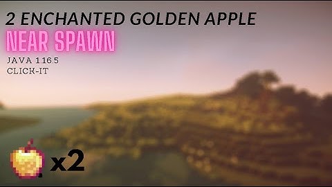 2 enchanted golden apple near spawn same seed Java 1.16.5